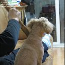 또치PC 이미지