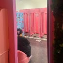 홍대 이색 놀거리 사진관 레치키치 스튜디오 후기