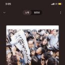 푸른곰팡이 이미지