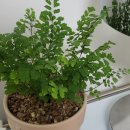 정관엘에이치5단지 이미지