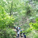 춘호농장 이미지