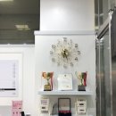 레푸스&엔젤라