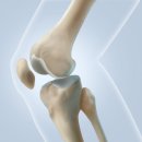 위례중앙약국 이미지