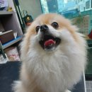 견생스타일 이미지