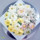 데조로스튜디오