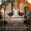 하나건설기계 서울경제