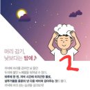 비채미 이미지