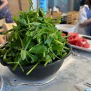 롯데치과재료상사 이미지