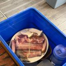 맛고을식당 이미지