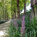 문화근린공원 이미지