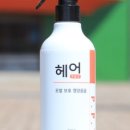 도로시헤어라인 이미지
