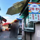 청춘아리