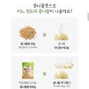 콩나물 키우기^^ㅎ