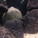 여울목 아쿠아 이미지