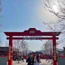 LEGOLANDㅣ춘천 레고랜드! 미리 다녀온 레고랜드 완전정복, 레고덕후는 신나씐나