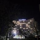 사우나산토리노 | [충청남도여행][보령,무창포숙박/리조트] 무창포 비체펠리스 아이와 함께한 내돈내산 여행후기♡