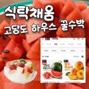 [식탁채움] 집에서 즐기는 여름 제철 과일, 10Brix 고당도 꿀수박 후기