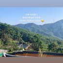 상춘가 이미지