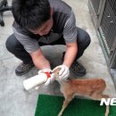 울산광역시 야생동물구조관리센터 이미지