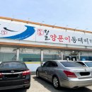 충남 예산 해장 맛집 얼큰한 왕코 양푼이 동태찌개