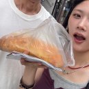 주식회사 메디톡스 서울지점 | 뚜벅이 목포여행 2박3일 코스! Day1 - 여기저기 다닌 찐 솔직후기