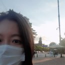 일산미용실: 누아헤어 일산태슬컷 후기