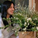 스타피드 이미지