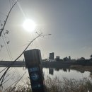 해파랑길 | 해파랑길 39코스, 혼자 알레버스 타고 다녀온 후기!