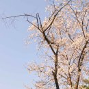 산후마을 이미지