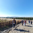 영진의류 이미지