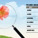 도전화학