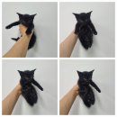왕지농장 이미지