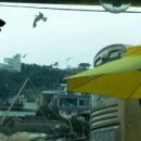 박근석명품대게직판장 이미지