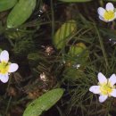 매화1공원 이미지