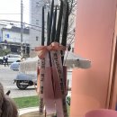 댕댕찹찹 이미지