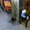 민트판다 이미지