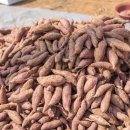 웅이네농장 이미지