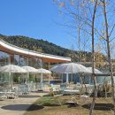 가평 양떼목장 | 아이와 가평 양떼목장 후기｜알파카와 산책, 새끼양과 보내는 힐링 하루