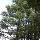 순환목장 이미지