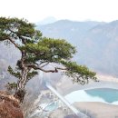 소나무풍경 이미지