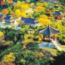 여주-0848 네이버블로그