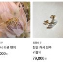 펄시(Persy)