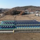 거북발전소 이미지