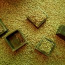 성호기념관 이미지