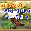 비당농장 이미지