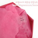 뽀샤시 - 전주시 완산구 거마중앙로 17 | 뽀샤시