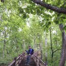 장태산휴양림 이미지