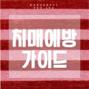 [무료]치매예방을 위한 인지UP놀이법 지도_치매예방관리사 | 치매 예방 핵심 가이드: 뇌 건강을 위한 실천법