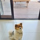 GS25 일광오션뷰점 이미지