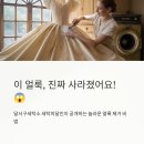 영영세탁소 | 달서구세탁소 [고객 감동 후기] "이 얼룩, 진짜 사라졌어요!" 세탁의달인 성공 비법 공개!